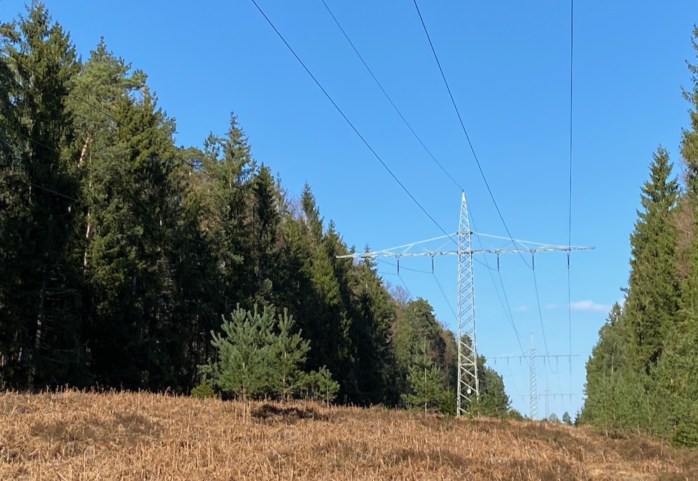 Strommast im Wald