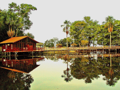 amazonas.jpg